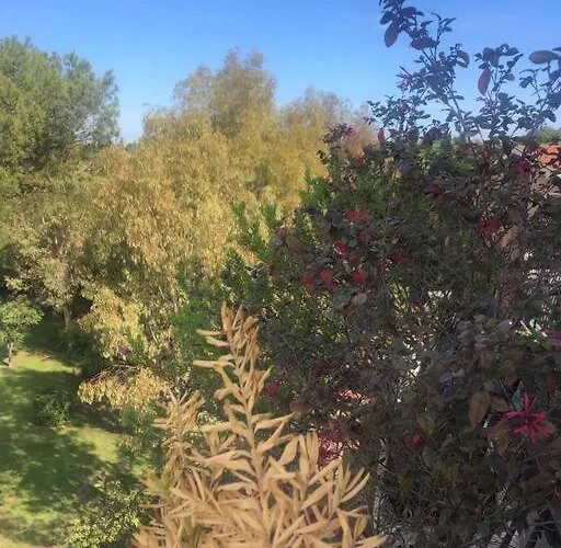 Casa Incantevole Con Vista Parco Appia Antica Casa de férias *